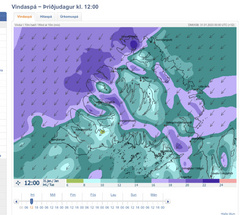 Veursp um hdegisbil  dag 31. janar